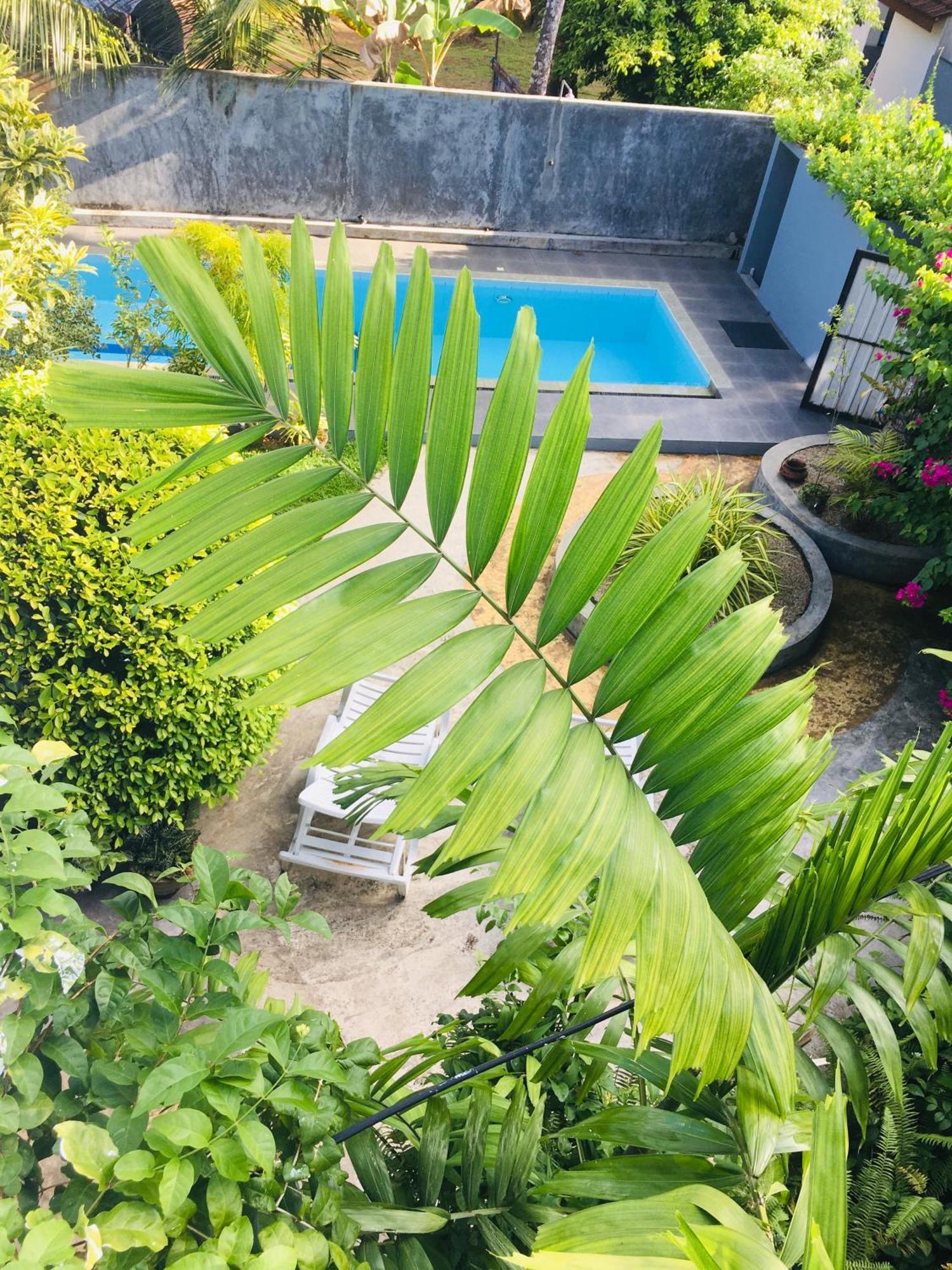 Om Villa Hikkaduwa Buitenkant foto